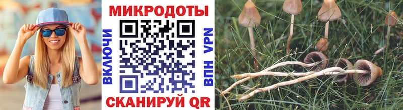 наркотики  Ядрин  Галлюциногенные грибы MAGIC MUSHROOMS 